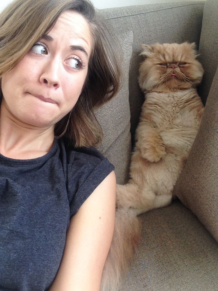 My Cat Sits Like A Human And Always Sticks His Tongue Out My Cat Sits Like A Human And Always Sticks His Tongue Out