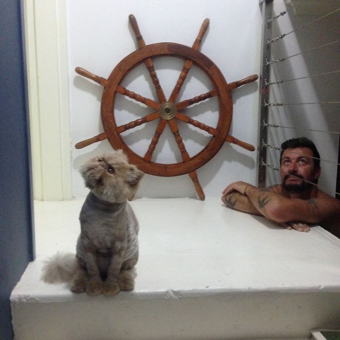 My Cat Sits Like A Human And Always Sticks His Tongue Out