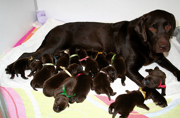 Proud Mommy