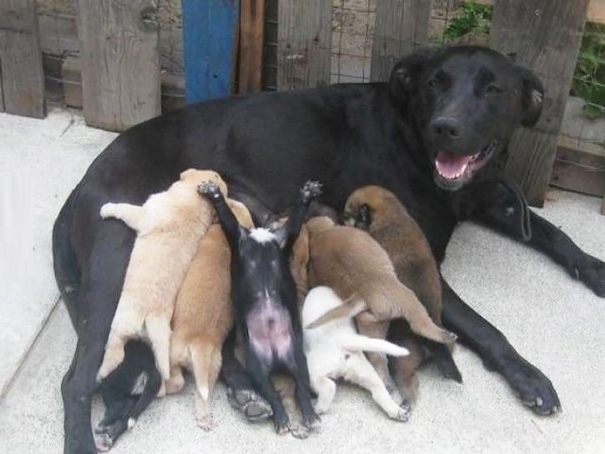 Proud Mommy