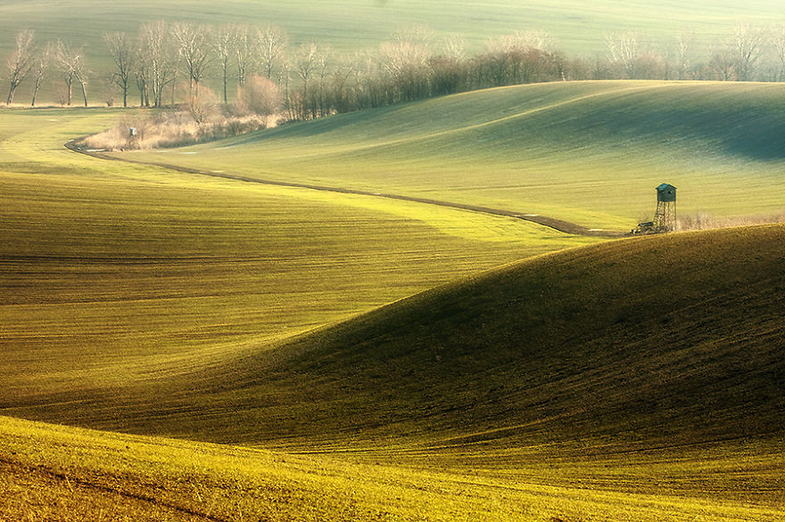 Hypnotizing Beauty Of Moravian Fields In The Czech Republic