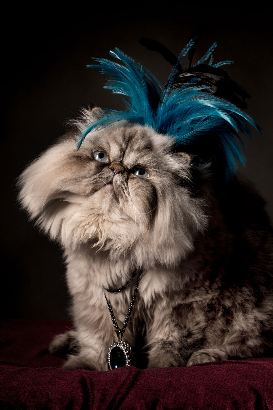 animals-lloking-as-noble-men-classical-paintings-maria-rosenblatt-5 animals-lloking-as-noble-men-classical-paintings-maria-rosenblatt-5