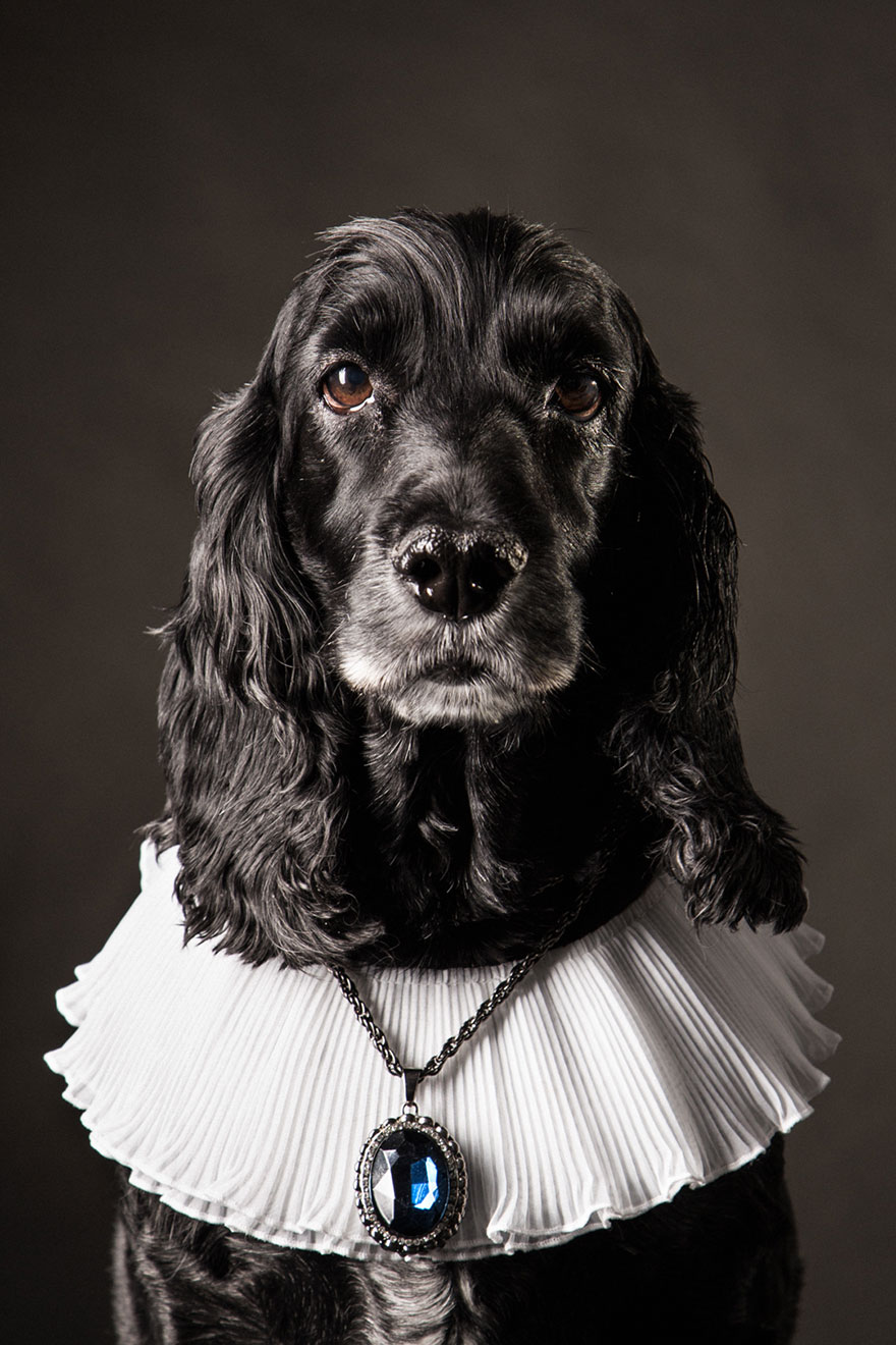 animals-lloking-as-noble-men-classical-paintings-maria-rosenblatt-6 animals-lloking-as-noble-men-classical-paintings-maria-rosenblatt-6