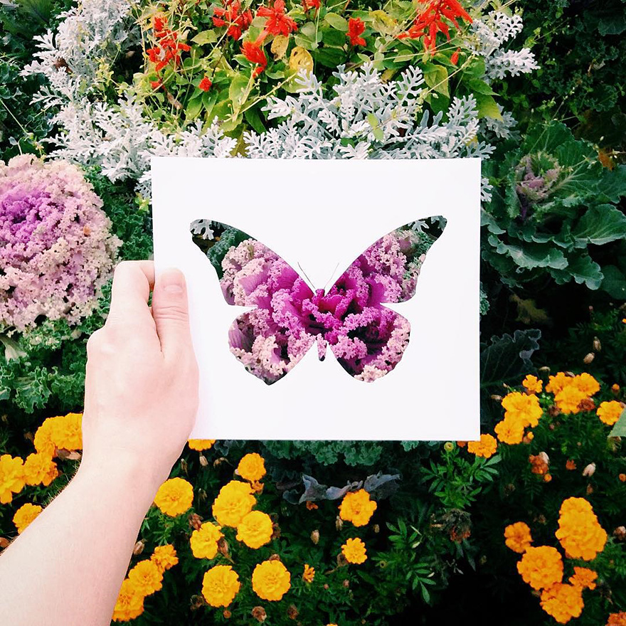 animals-silhouettes-natural-landscapes-nikolai-tolstyh-23