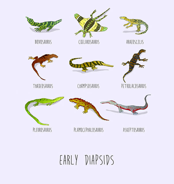 Dinosaurs Of The World