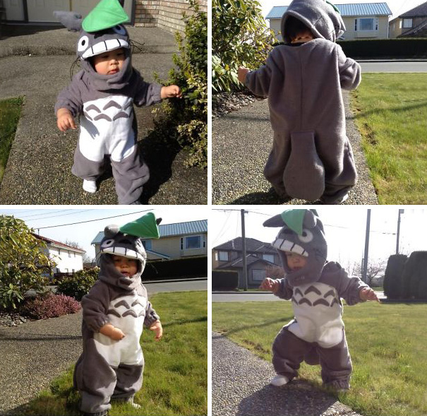 Totoro Costume