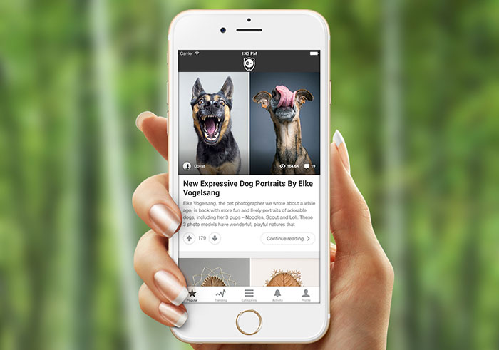 bored panda just released an ios app and 50000 have already downloaded it bored panda just released an ios app and 50000 have already downloaded it