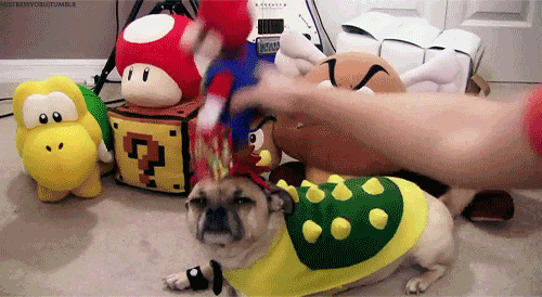 27 Furry Halloween Ideas To Make You Smile [in Gifs]