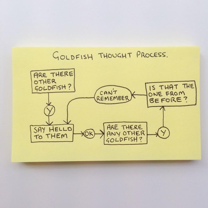 The Reality Of Adulthood