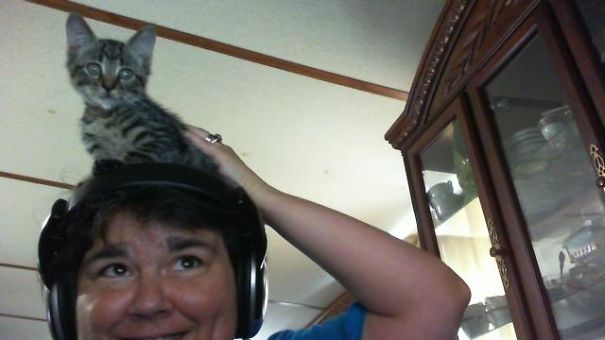 I Want To Watch The Screen Too Mom!