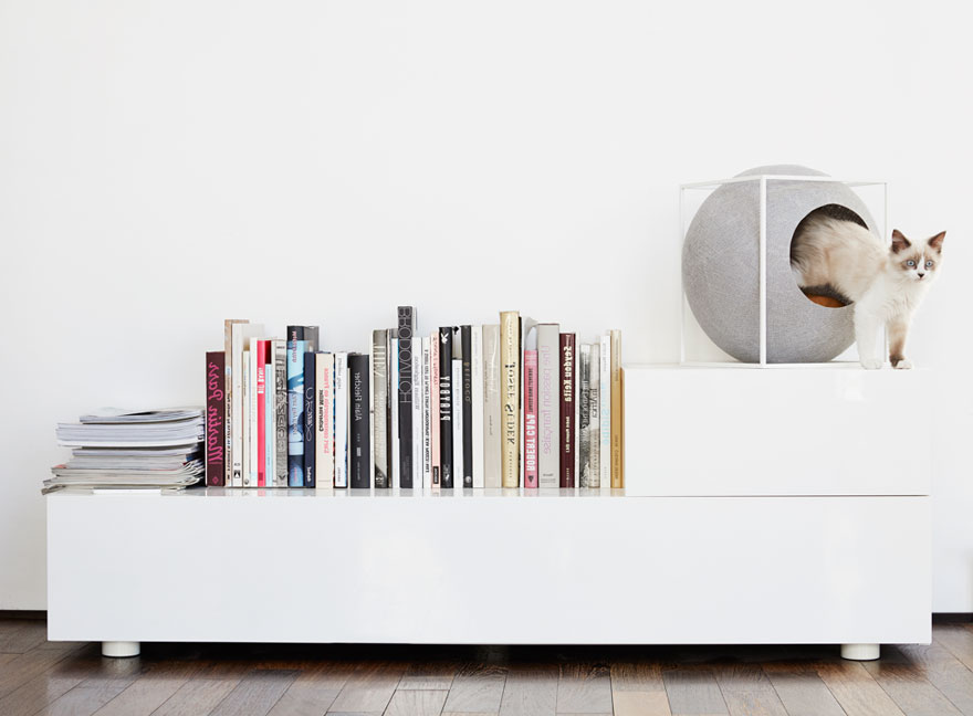 cat-cocoon-meyou-sanchez- gadenne-12