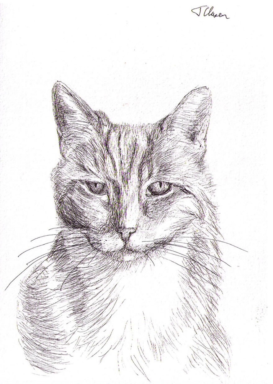 I Made 11 Drawings Of Cats Feeling Excellent About Themselves! I Made 11 Drawings Of Cats Feeling Excellent About Themselves!