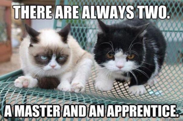 Two cats with funny expressions evoke classic Star Wars meme about a master and an apprentice.