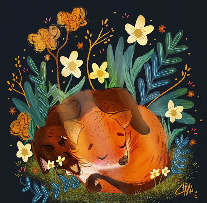 The Adventures Of Mr. Fox & Kitty Cat