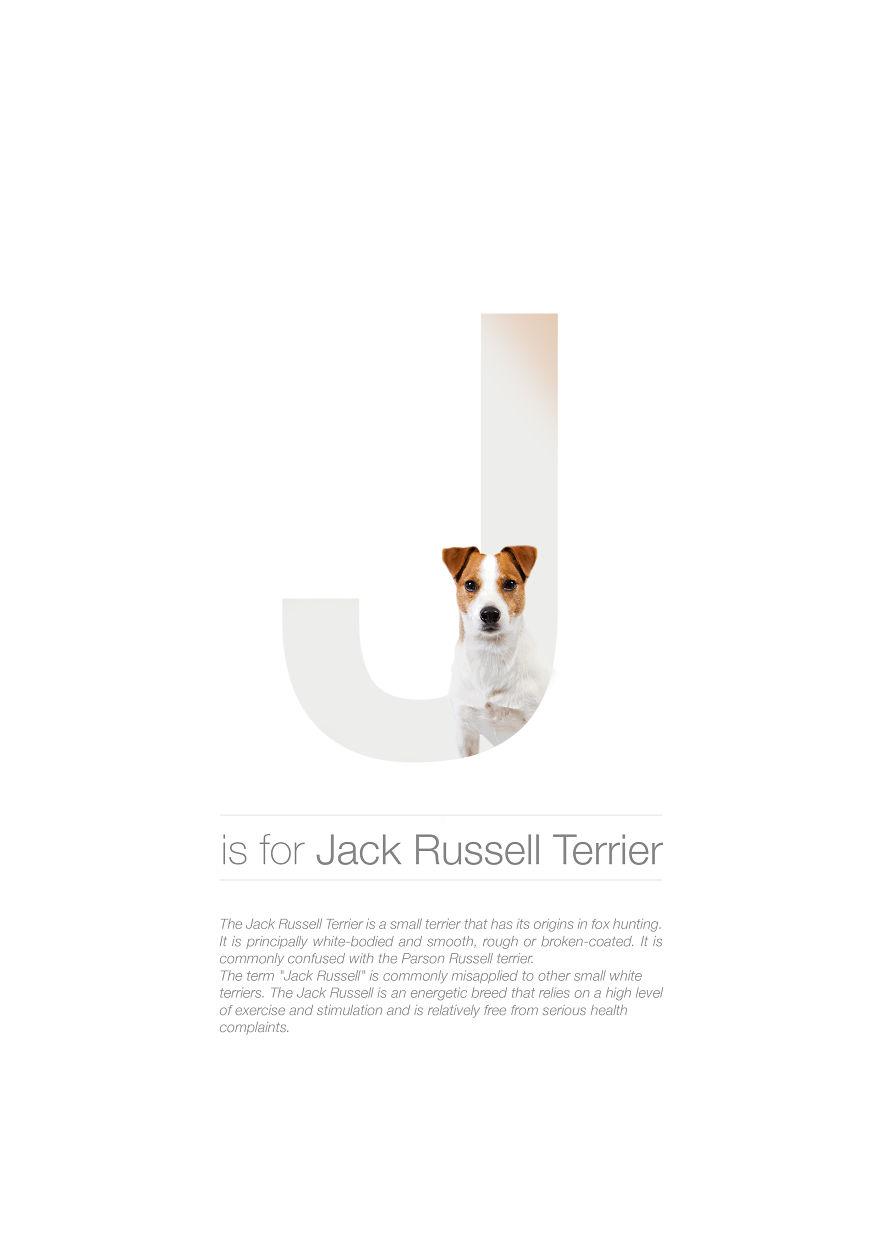 Dog Alphabet That I Made From The First Letters Of Their Breeds