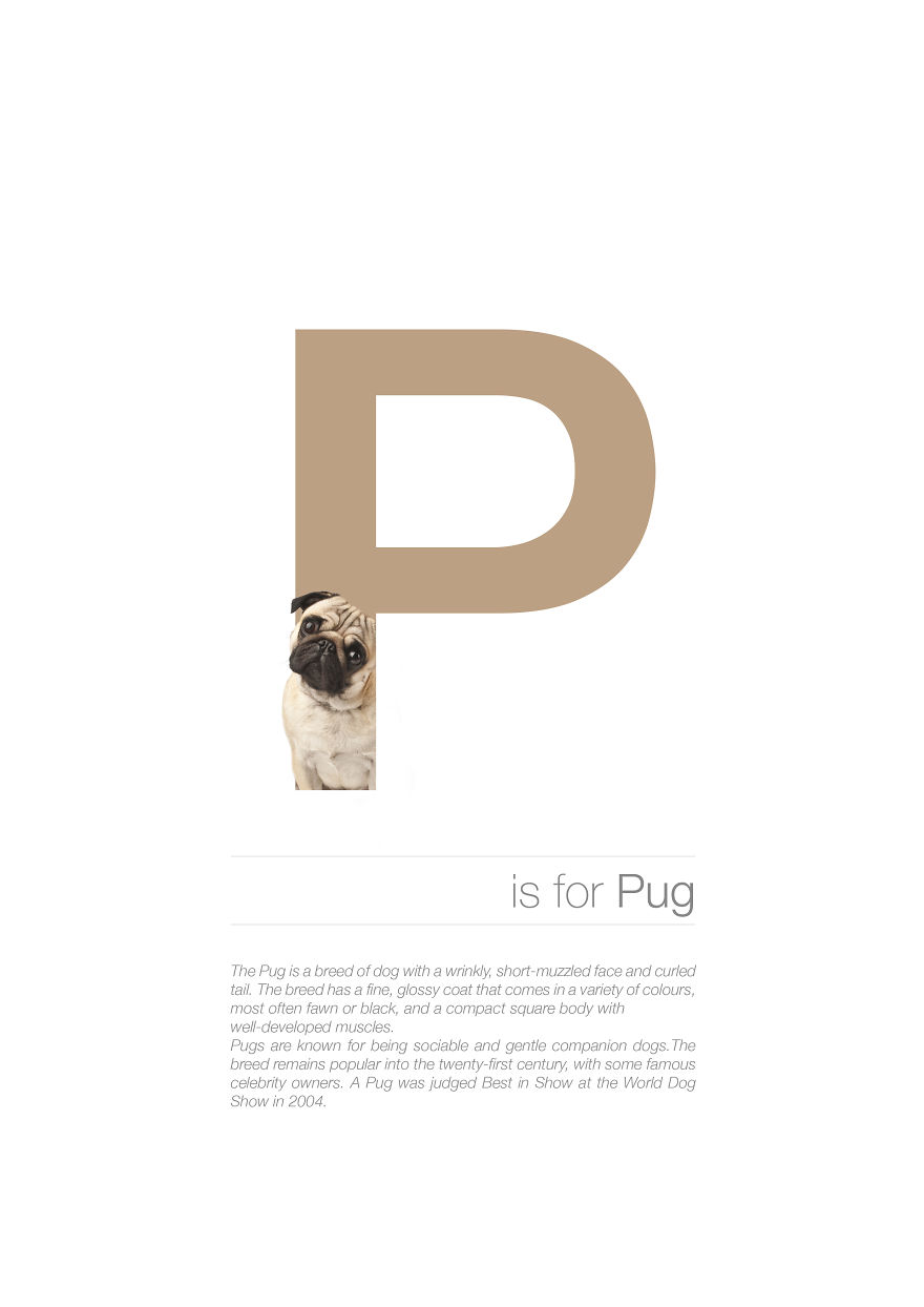 Dog Alphabet That I Made From The First Letters Of Their Breeds