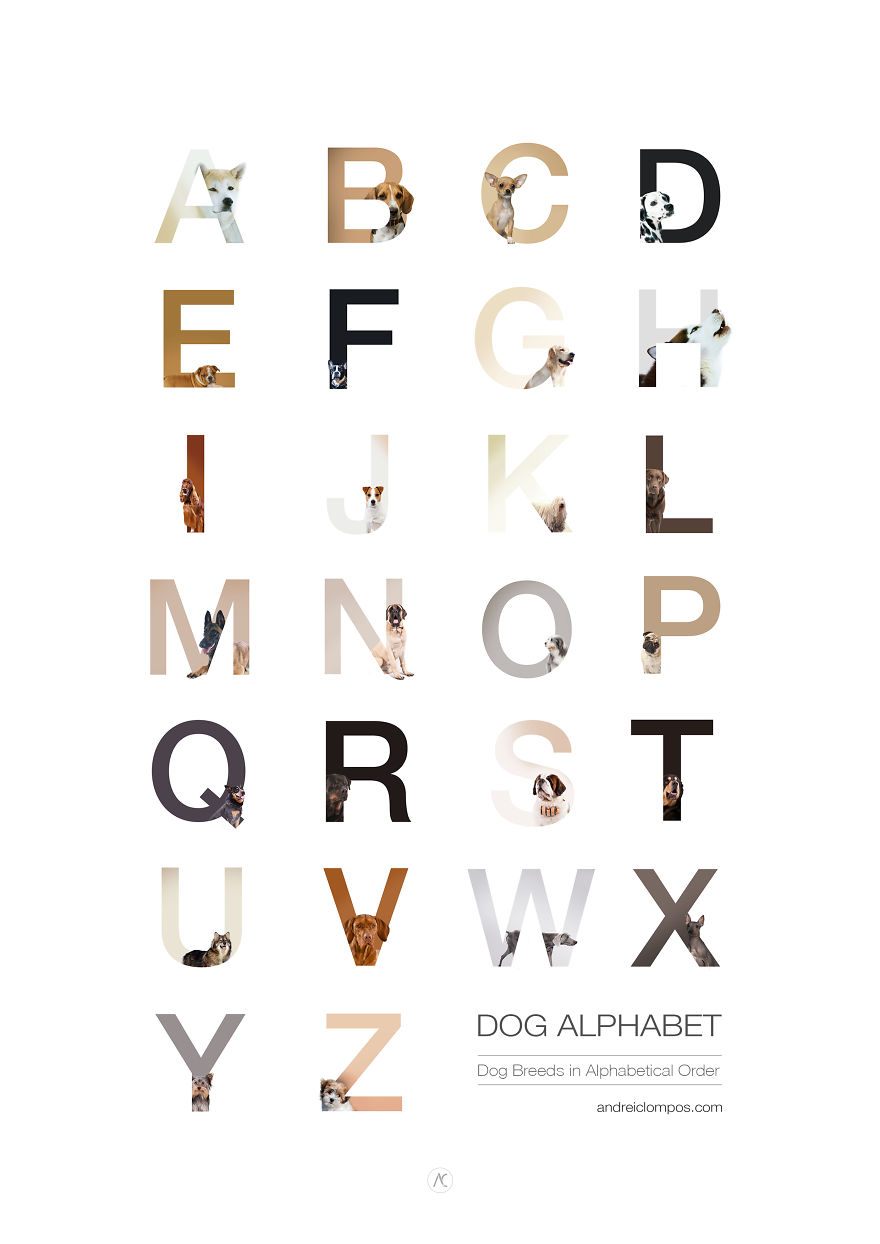 Dog Alphabet That I Made From The First Letters Of Their Breeds Dog Alphabet That I Made From The First Letters Of Their Breeds