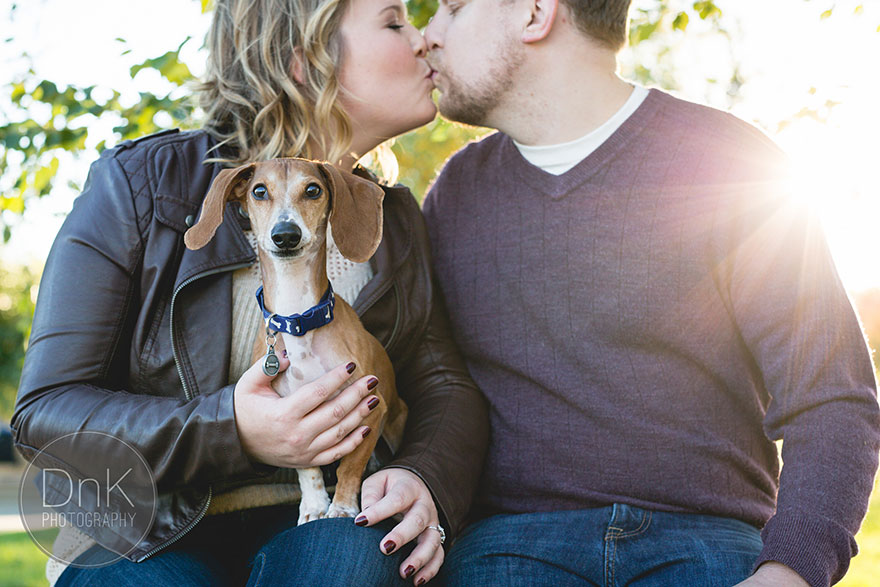 dog-photobombs-engagement-photos-karin-berdal-15 dog-photobombs-engagement-photos-karin-berdal-15