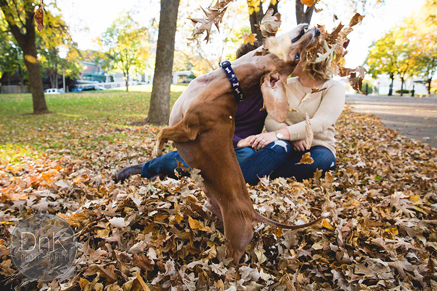 dog-photobombs-engagement-photos-karin-berdal-4 dog-photobombs-engagement-photos-karin-berdal-4