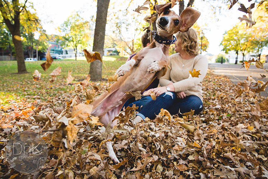 dog-photobombs-engagement-photos-karin-berdal-6