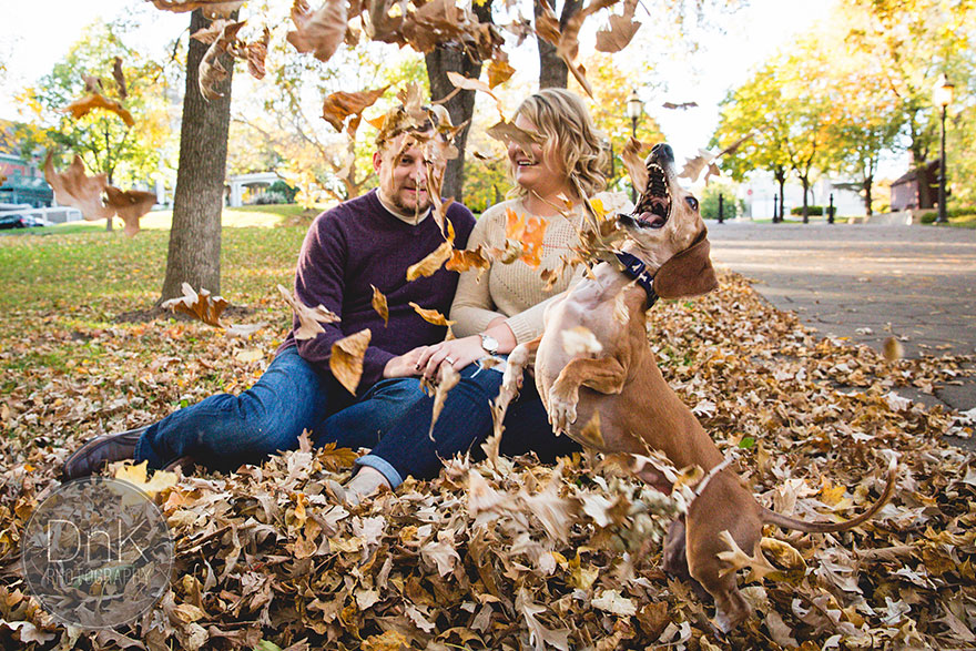 dog-photobombs-engagement-photos-karin-berdal-7 dog-photobombs-engagement-photos-karin-berdal-7
