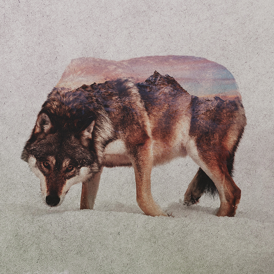 Double Exposure Portraits Of Wild Animals That Reflect Their Habitat Double Exposure Portraits Of Wild Animals That Reflect Their Habitat