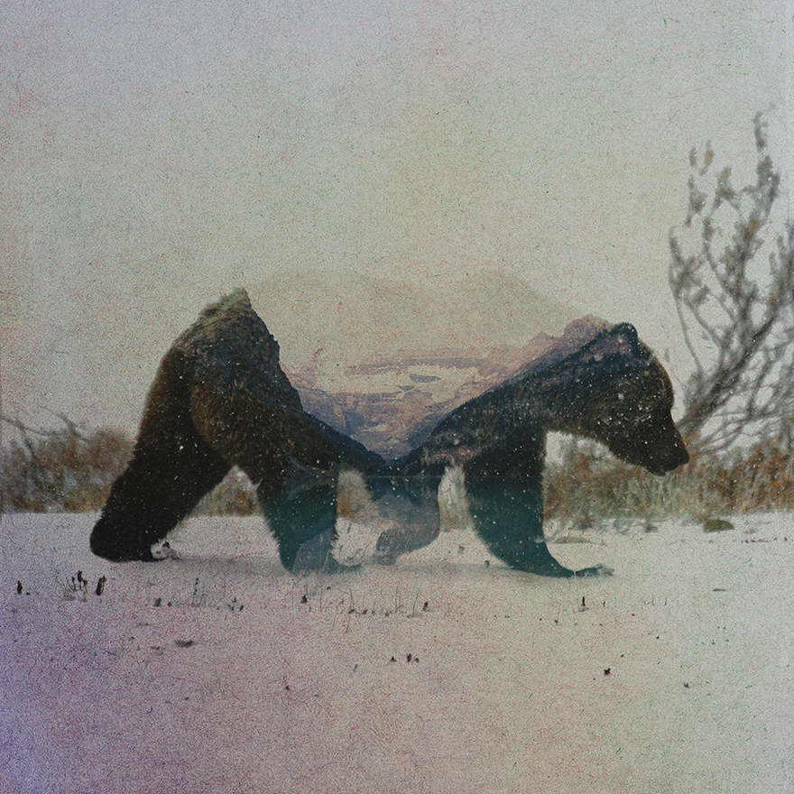 Double Exposure Portraits Of Wild Animals That Reflect Their Habitat Double Exposure Portraits Of Wild Animals That Reflect Their Habitat