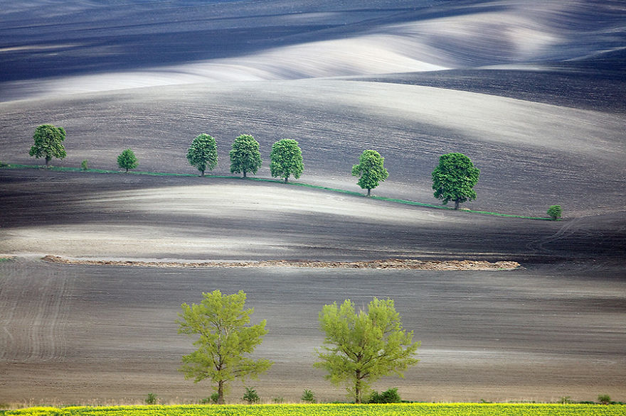 Hypnotizing Beauty Of Moravian Fields In The Czech Republic