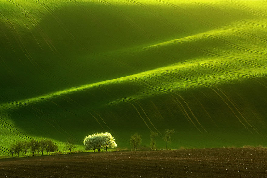 Hypnotizing Beauty Of Moravian Fields In The Czech Republic Hypnotizing Beauty Of Moravian Fields In The Czech Republic