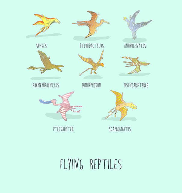 Dinosaurs Of The World