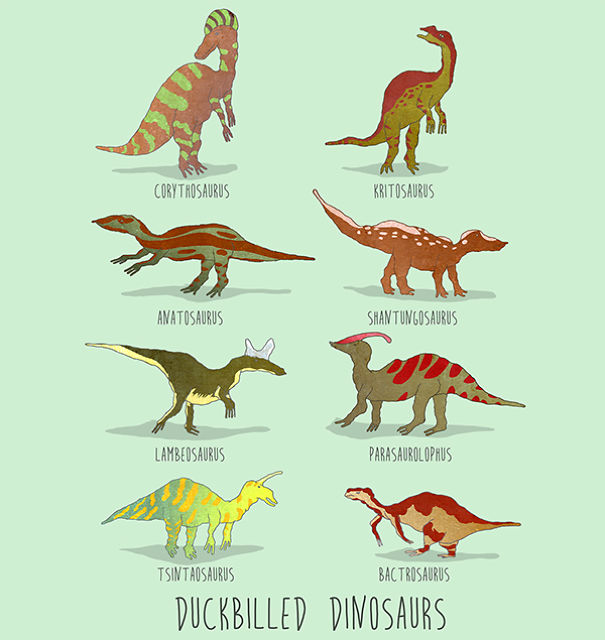 Dinosaurs Of The World