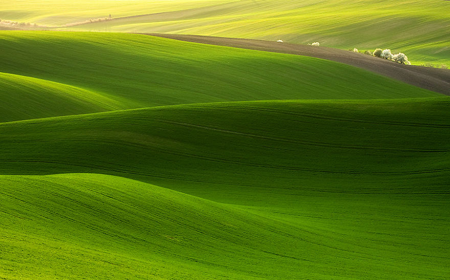 Hypnotizing Beauty Of Moravian Fields In The Czech Republic