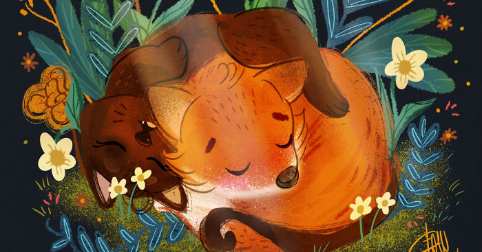 The Adventures Of Mr. Fox & Kitty Cat