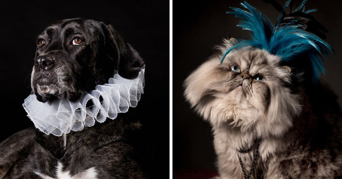 I Photograph Animals Looking As Noble Men From Classical Paintings
