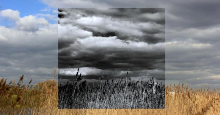 Window Series: I Capture Alternative Realities