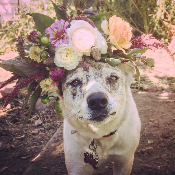 Flower Farmer Grows Smiles By Putting Flowers On Strangers’ Heads Flower Farmer Grows Smiles By Putting Flowers On Strangers’ Heads