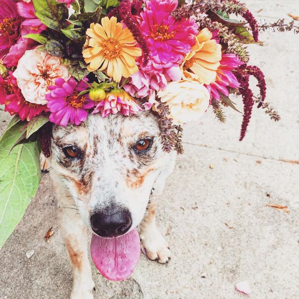 Flower Farmer Grows Smiles By Putting Flowers On Strangers’ Heads Flower Farmer Grows Smiles By Putting Flowers On Strangers’ Heads