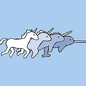 magicalmagicalnarwhalpersonnarwhalperson avatar