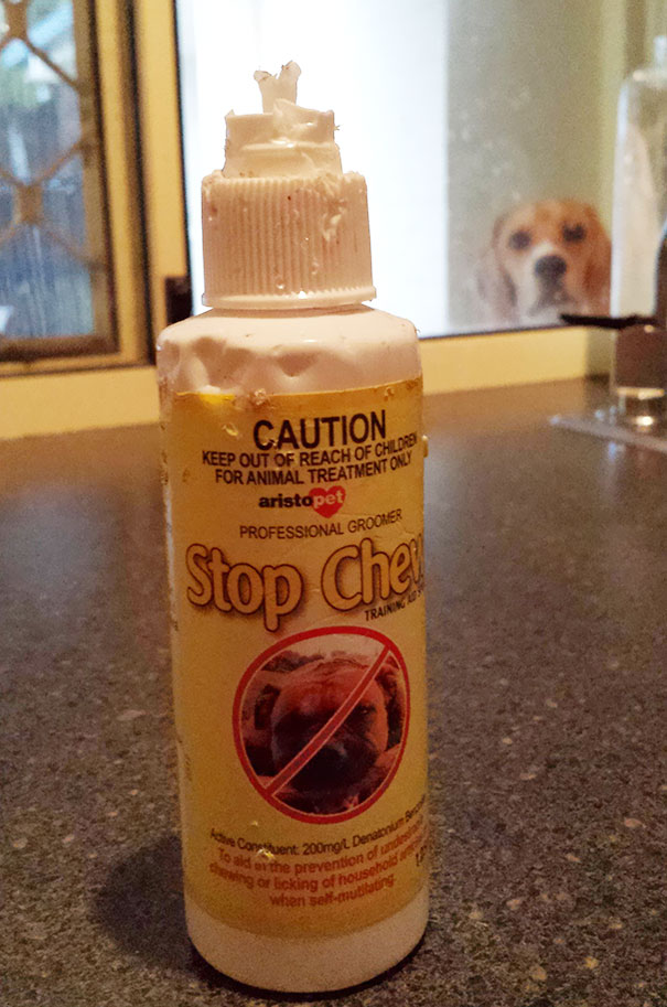 Well That Worked Fantastically Didn't It