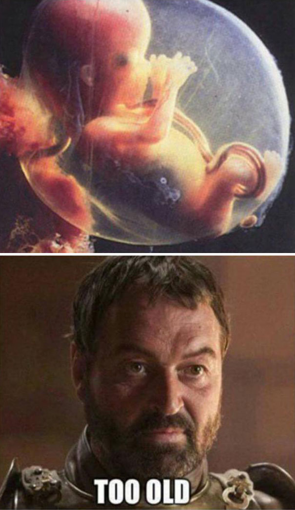 "Game of Thrones meme with a fetus and a character saying 'too old.'"