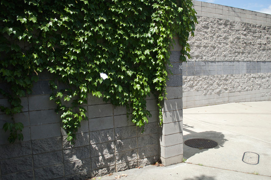 funny-sign-urban-art-michael-penderson-australia-3 funny-sign-urban-art-michael-penderson-australia-3