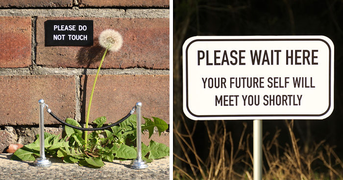 Artist Leaves Funny Signs Around City For People To Find