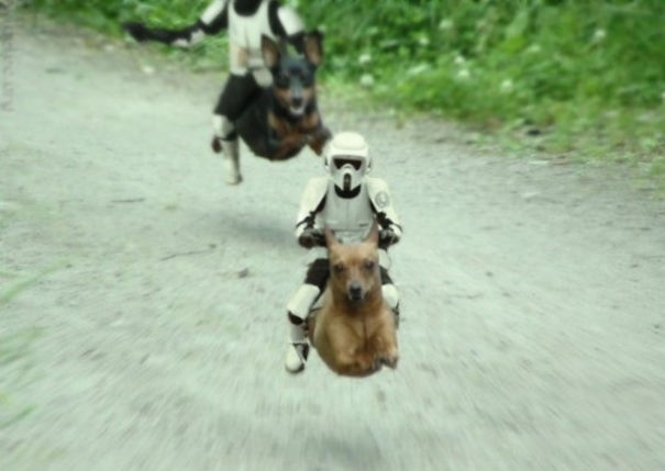 Funniest Star Wars Fan Tributes Funniest Star Wars Fan Tributes