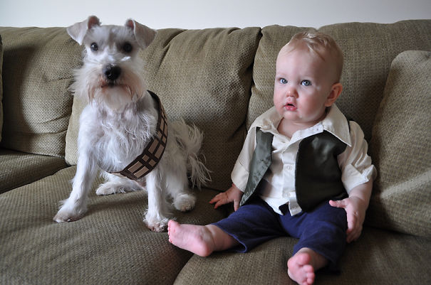 Funniest Star Wars Fan Tributes Funniest Star Wars Fan Tributes