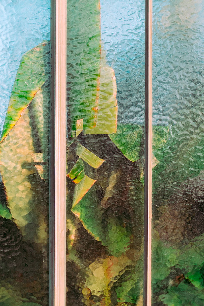 Plants Or Paintings?