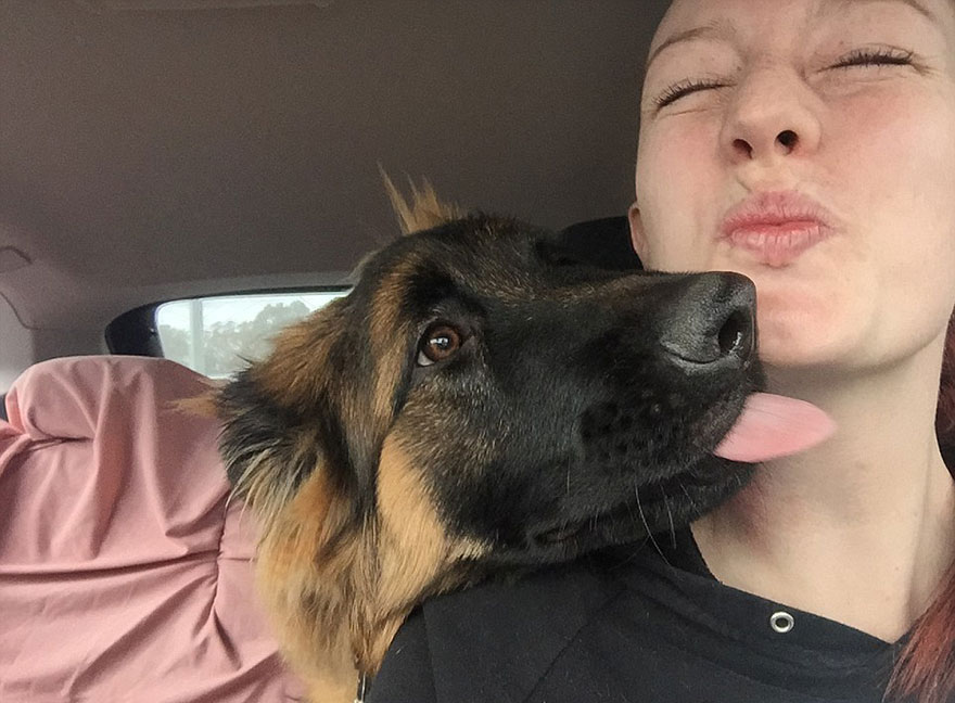 german-shepherd-photo-series-nine-month-alex-dennison-ashley-lewis-8