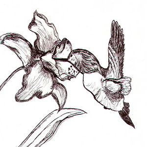 552d1c29cbdf8 avatar