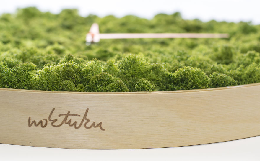 I Made A Moss Clock Using 2kg Of Moss I Made A Moss Clock Using 2kg Of Moss