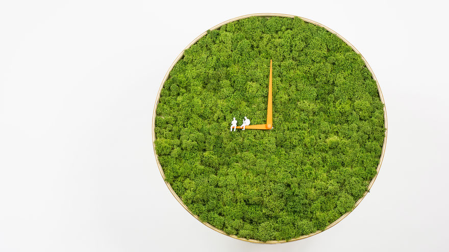 I Made A Moss Clock Using 2kg Of Moss I Made A Moss Clock Using 2kg Of Moss