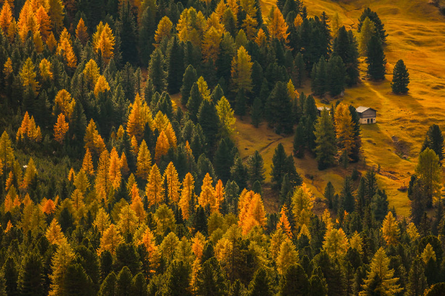I Photograph Autumn In The Magical Dolomites Of Italy I Photograph Autumn In The Magical Dolomites Of Italy